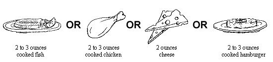Illustration of fish, chicken, sheese, and hamburger.
