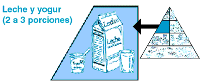 Leche y yogur (2 a 3 porciones)